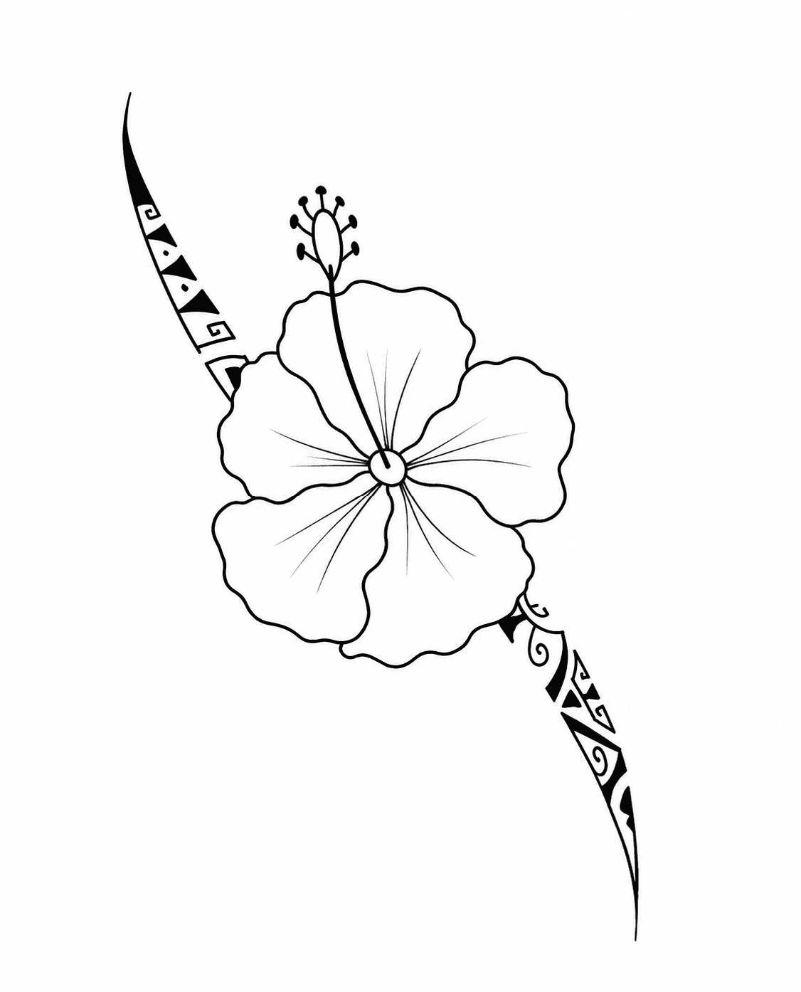 Liseret hibiscus